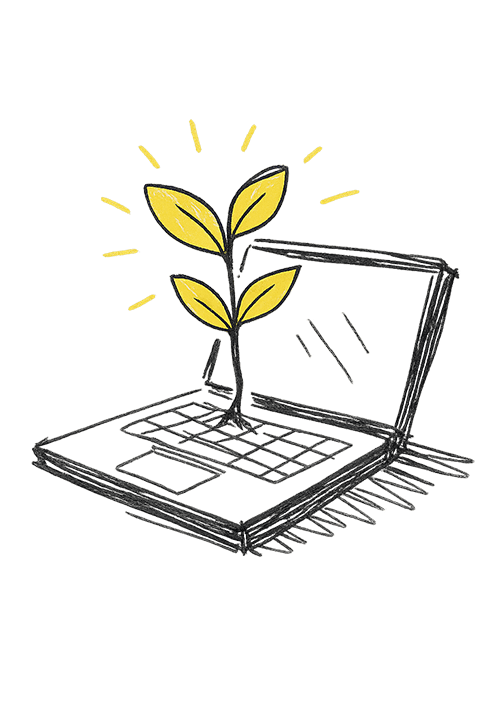 Open laptop with educational content and plant decoration