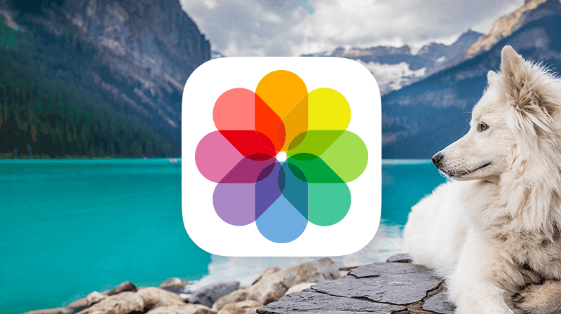 Apple Bilder – komplett guide laget av Espen Faugstad