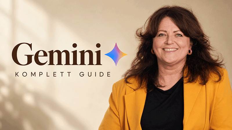 Kursbilde for Gemini – komplett guide