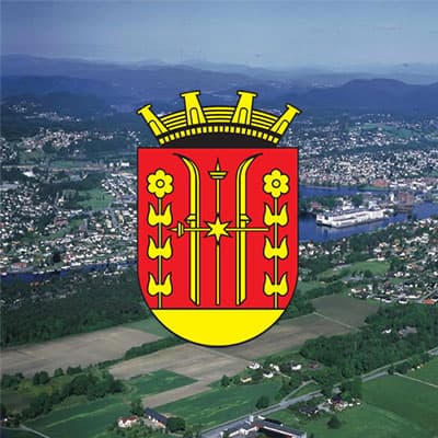 Nav Skien logo